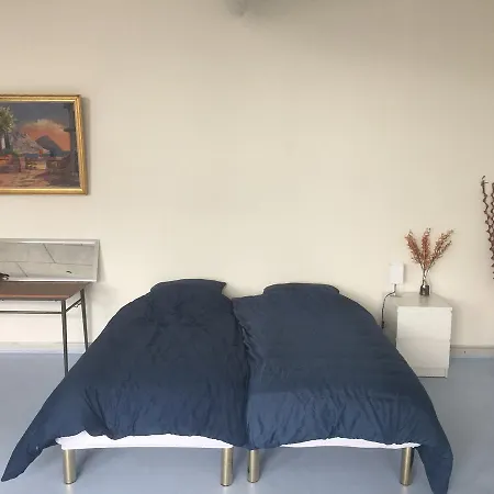 Albergue Vadehavshostel *