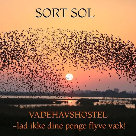Vadehavshostel Albergue *